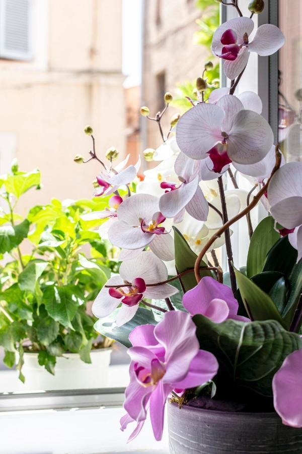 Hotel Le Flore Frejus Ngoại thất bức ảnh